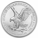 American Silver Eagles (Random Year, 20-Coin MintDirect Tube)